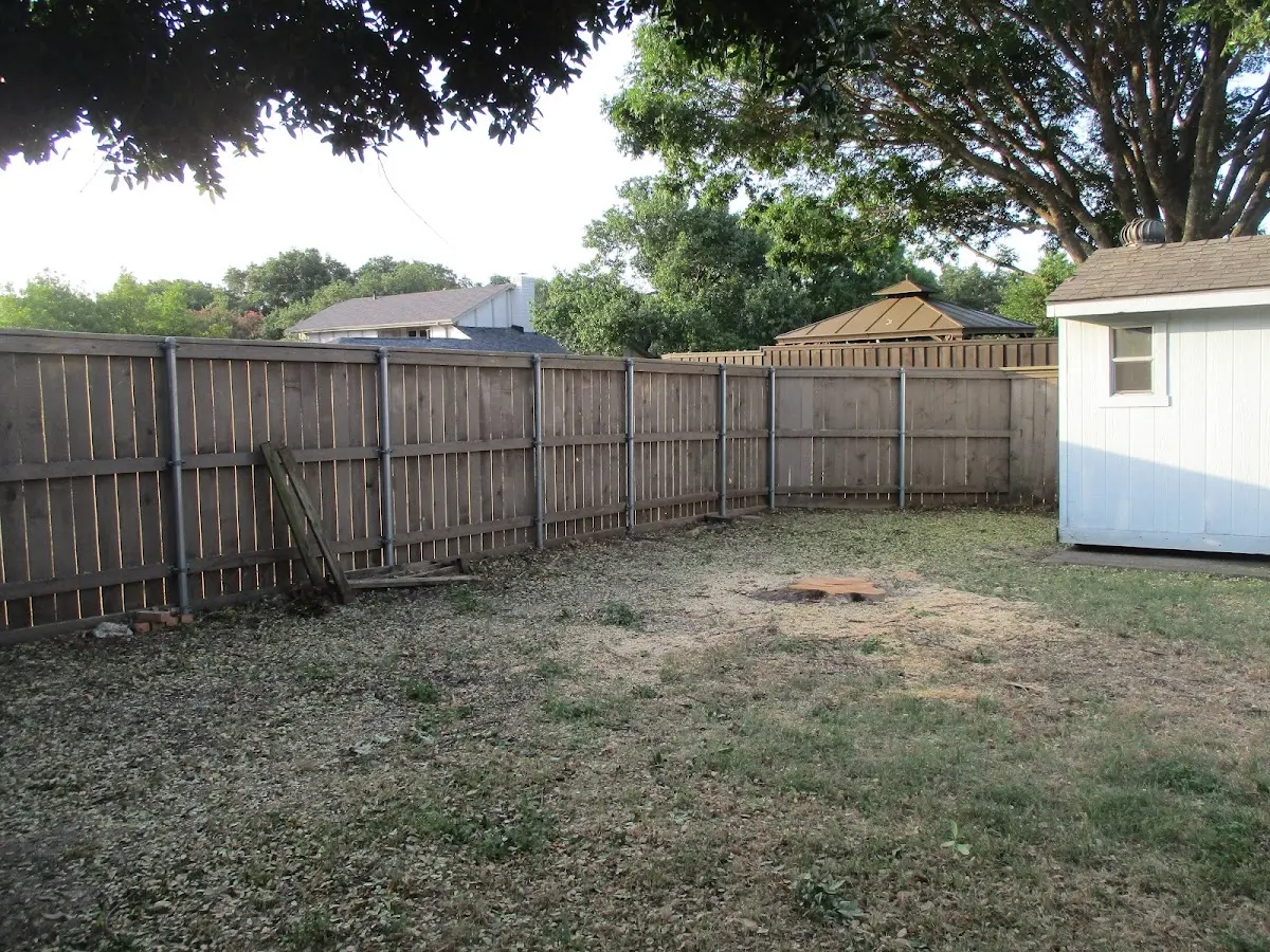 Cleared yard after professional tree removal in Julian